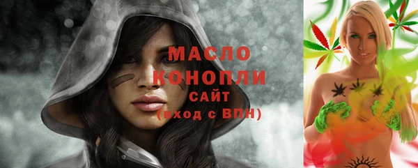 скорость Каменка