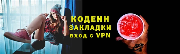 прущие грибы Гусев