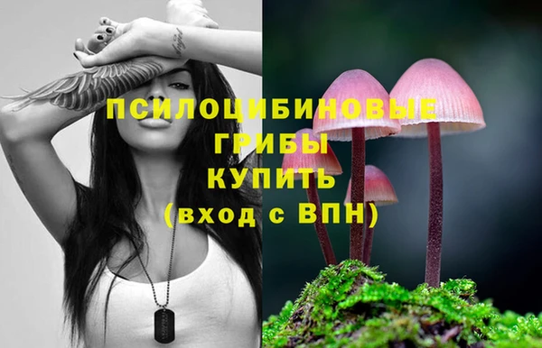 крисы Алексин