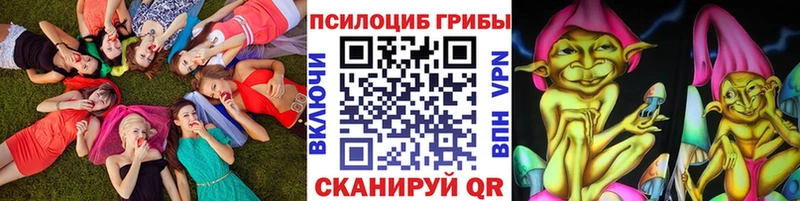 где найти Асино Галлюциногенные грибы ЛСД