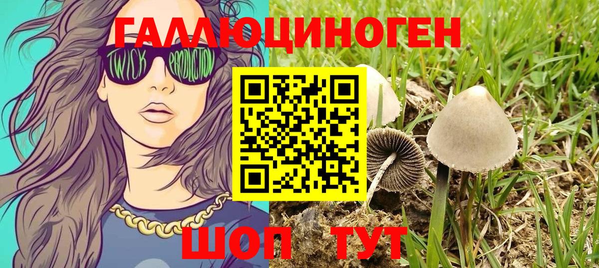 Псилоцибиновые грибы Psilocybine cubensis  Вход с VPN  Асино 