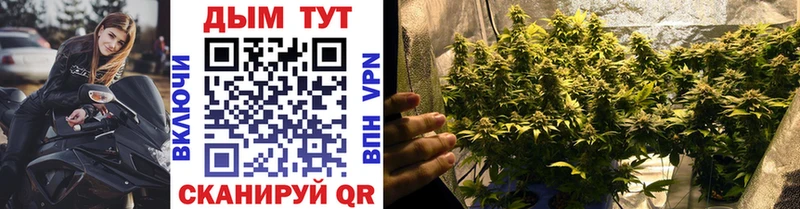 ссылка на мегу сайт  Асино  Конопля THC 21% 