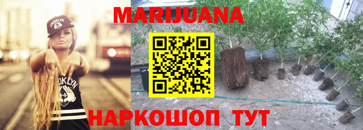 Асино  Канабис конопля  Вход с VPN  Конопля LSD WEED 